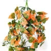 PANGEA PLANTS - Orange 2 PANGEA PLANTS - Orange -Natural Pet Care Shop pangea pangea plants orange 38770.1654201753