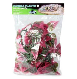 PANGEA PLANTS - RED -Natural Pet Care Shop pangea pangea plants red 09651.1659547506