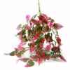 PANGEA PLANTS - RED -Natural Pet Care Shop pangea pangea plants red 22889.1659547506
