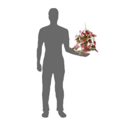 PANGEA PLANTS - RED -Natural Pet Care Shop pangea pangea plants red 46381.1659547506