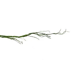 Pangea Ultimate Reptile Vine With Branches - Green 7 Pangea Ultimate Reptile Vine With Branches - Green -Natural Pet Care Shop pangea pangea ultimate reptile vine with branches green 15719.1659547610