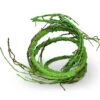 Pangea Ultimate Reptile Vine With Branches - Green 2 Pangea Ultimate Reptile Vine With Branches - Green -Natural Pet Care Shop pangea pangea ultimate reptile vine with branches green 33835.1659547610
