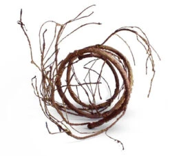 Pangea Ultimate Vine - Brown