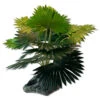Fan Palm, Mini -Natural Pet Care Shop pet tekk fan palm mini 17767.1662722958