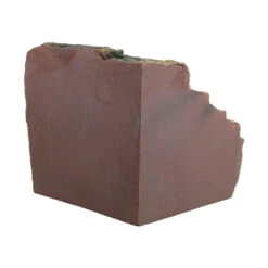 Reptile Treasures Basking Shelter 8in -Natural Pet Care Shop reptile treasures basking shelter 8in 51877.1708144690