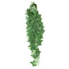 Reptile Treasures Ivy Plant 24in -Natural Pet Care Shop reptile treasures ivy plant 24in 64741.1708058312