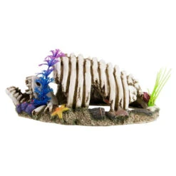 Reptile Treasures Shelter Dino Bones 10in -Natural Pet Care Shop reptile treasures shelter dino bones 10in 65921.1708058533