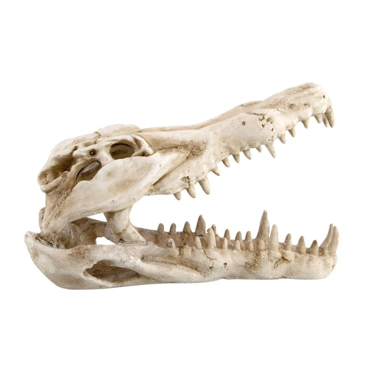 Reptile Treasures Shelter Dino Skull 10in 6 Reptile Treasures Shelter Dino Skull 10in - Image 4