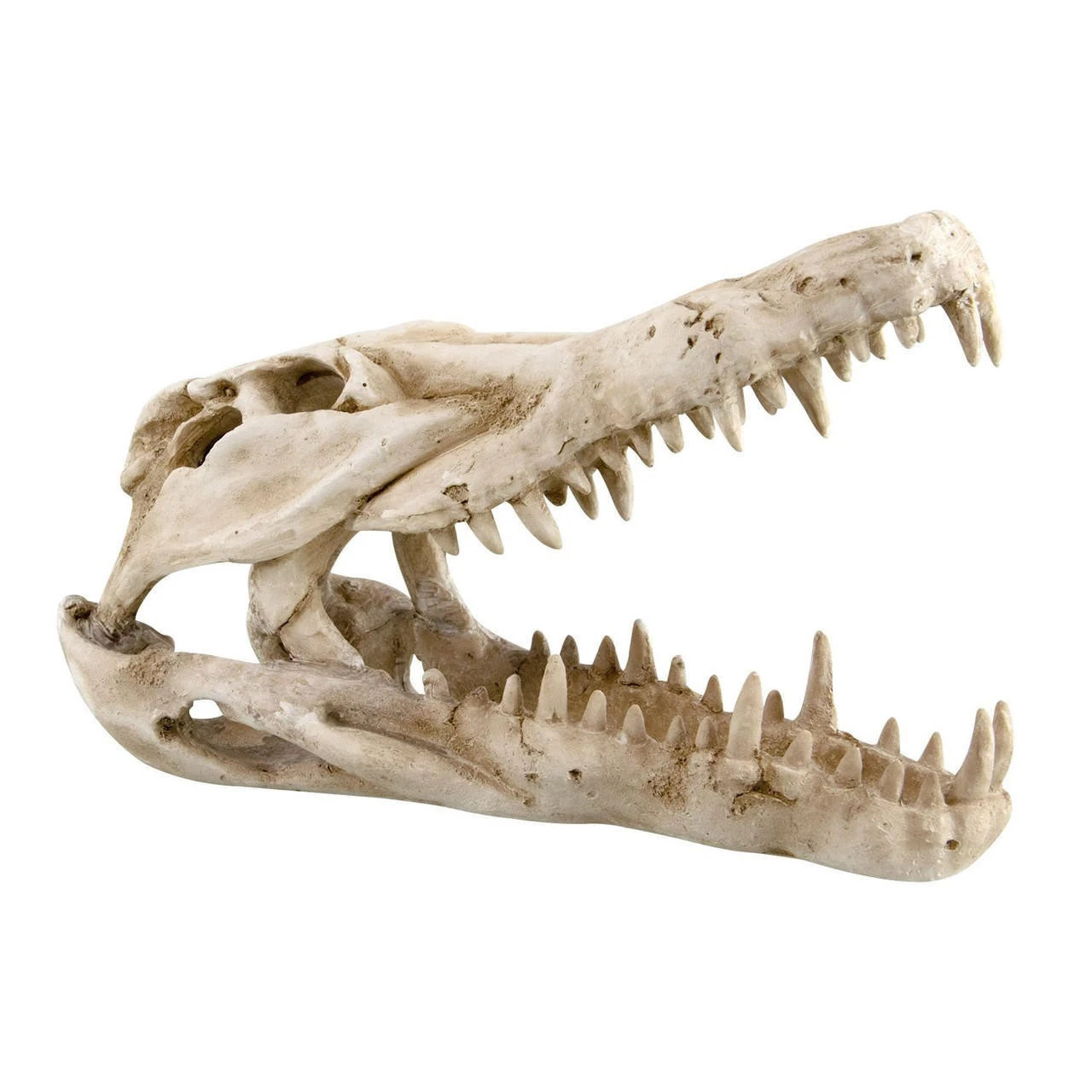 Reptile Treasures Shelter Dino Skull 10in 4 Reptile Treasures Shelter Dino Skull 10in - Image 2