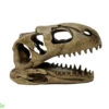 The Bio Dude - Dino Decor - T-Rex -Natural Pet Care Shop the biodude the bio dude dino decor t rex 65493.1703041154