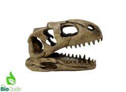 The Bio Dude - Dino Decor - T-Rex