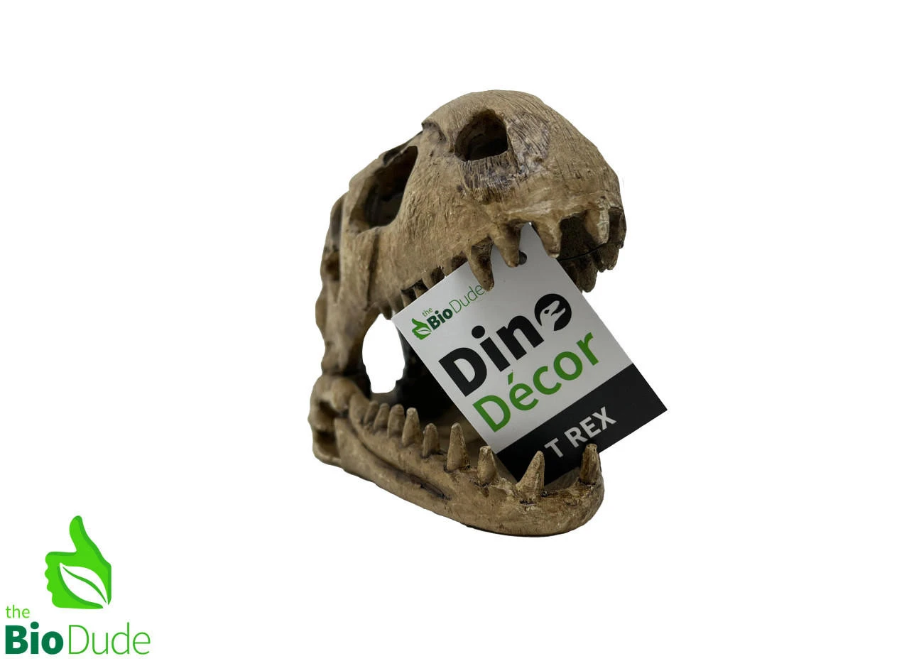 The Bio Dude - Dino Decor - T-Rex 4 The Bio Dude - Dino Decor - T-Rex - Image 2