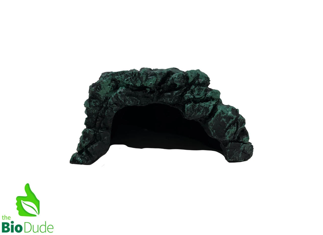 The Bio Dude - Rock Hideaway - Small 3 The Bio Dude - Rock Hideaway - Small