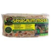Zoo Med New Zealand Sphagnum Moss, 150g -Natural Pet Care Shop zoo med new zealand sphagnum moss 50g 53773.1676663904
