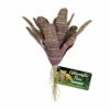 Zoo Med Chestnut Bromeliad 1 Zoo Med Chestnut Bromeliad -Natural Pet Care Shop zoo med zoo med chestnut bromeliad 52290.1676663838