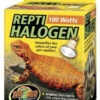 Zoo Med Repti Halogen Heat Lamp 100 Watt -Natural Pet Care Shop zoo med zoo med repti halogen heat lamp 100 watt 07237.1620676997