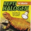 Zoo Med Repti Halogen Heat Lamp 50 Watt -Natural Pet Care Shop zoo med zoo med repti halogen heat lamp 50 watt 28651.1620674498