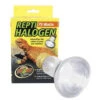 Zoo Med Repti Halogen Heat Lamp 75 Watt -Natural Pet Care Shop zoo med zoo med repti halogen heat lamp 75 watt 03758.1620677842