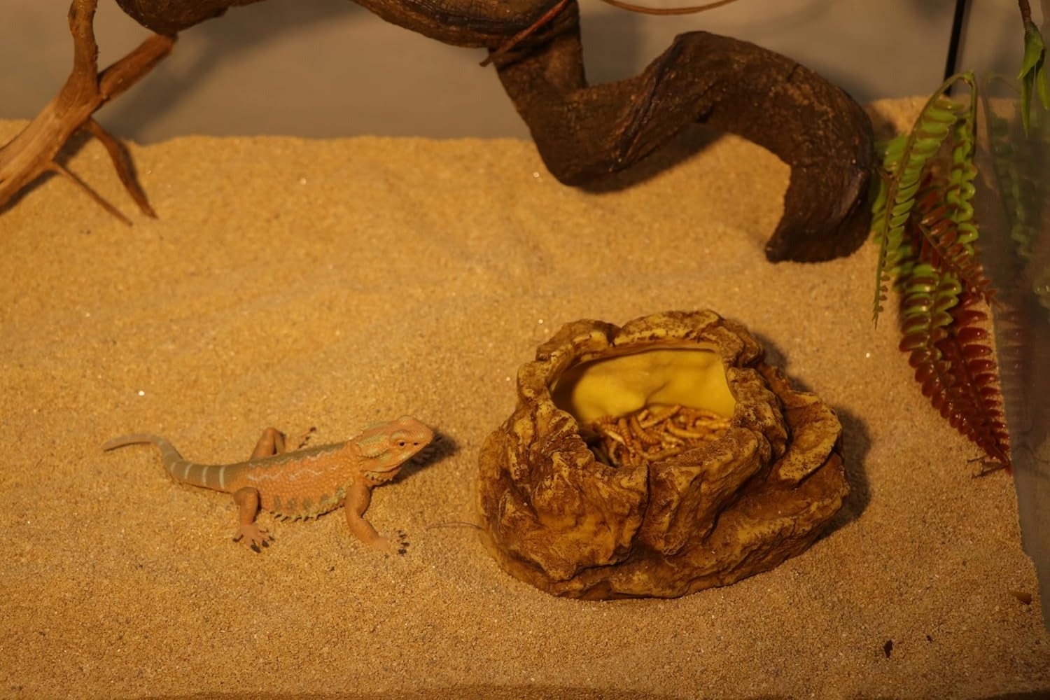 Natural Pet Care Shop -Natural Pet Care Shop 81vwJ8GLYWL. AC SL1500