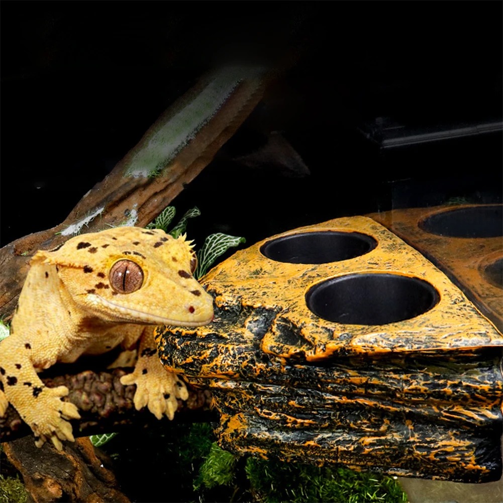 Natural Pet Care Shop -Natural Pet Care Shop Magnetic Reptile Feeding Ledge H